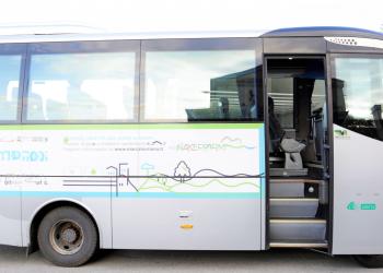 Dexon MAN 8.225, autobus 31 posti , anno 2006